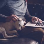 Las 20 preguntas más frecuentes de las búsquedas sobre Swagbucks en Google