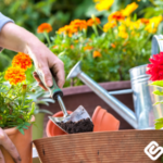 The Ultimate Gardening Guide